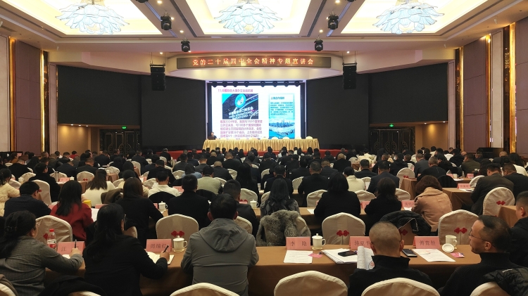 岳阳市委宣讲团微宣讲走进岳阳楼区 深入解读党的二十届四中全会精神