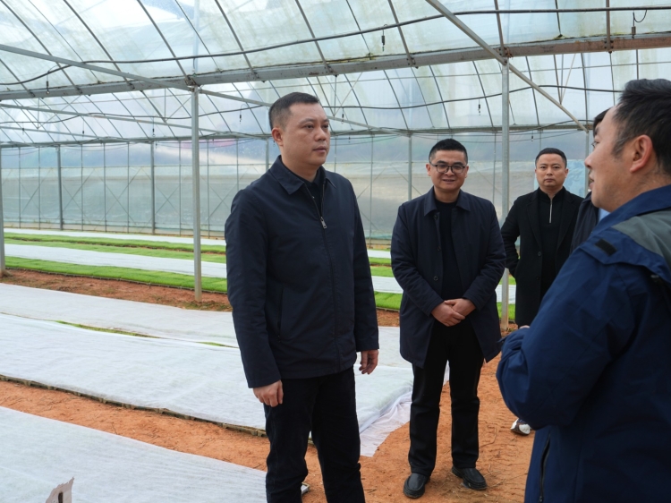 ��ץ������ʱ�� ���η�Ѵ��ȫ��